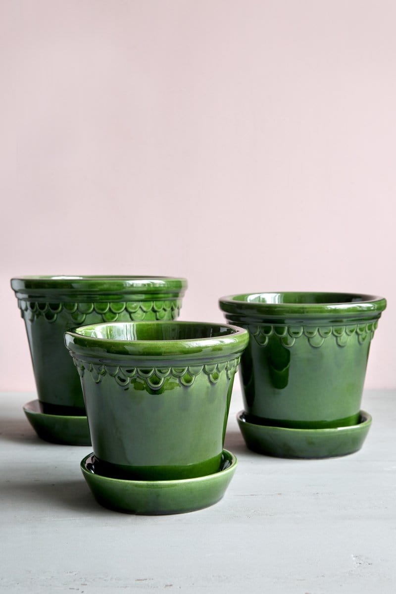 Københavner 'Glazed by Bergs', portgrøn - Blomsterverden